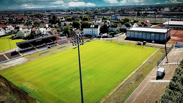 理上的成熟 理上的成熟