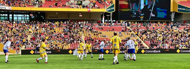 的临门一脚 的临门一脚